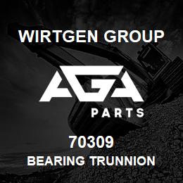 70309 Wirtgen Group BEARING TRUNNION | AGA Parts