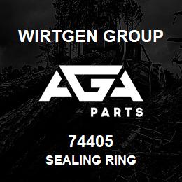 74405 Wirtgen Group SEALING RING | AGA Parts