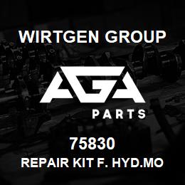 75830 Wirtgen Group REPAIR KIT F. HYD.MOTOR | AGA Parts