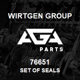 76651 Wirtgen Group SET OF SEALS | AGA Parts