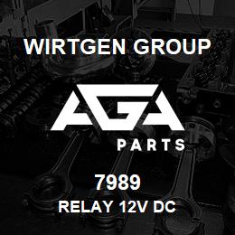 7989 Wirtgen Group RELAY 12V DC | AGA Parts