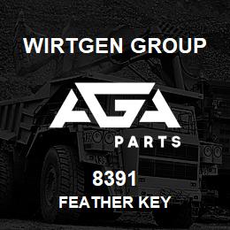 8391 Wirtgen Group FEATHER KEY | AGA Parts