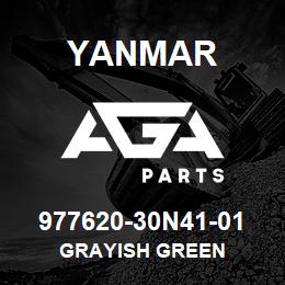 977620-30N41-01 Yanmar GRAYISH GREEN | AGA Parts