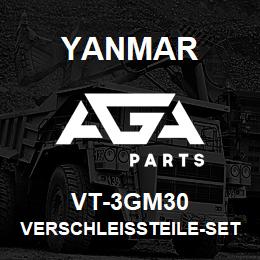 VT-3GM30 Yanmar Verschlei├Яteile-Set | AGA Parts